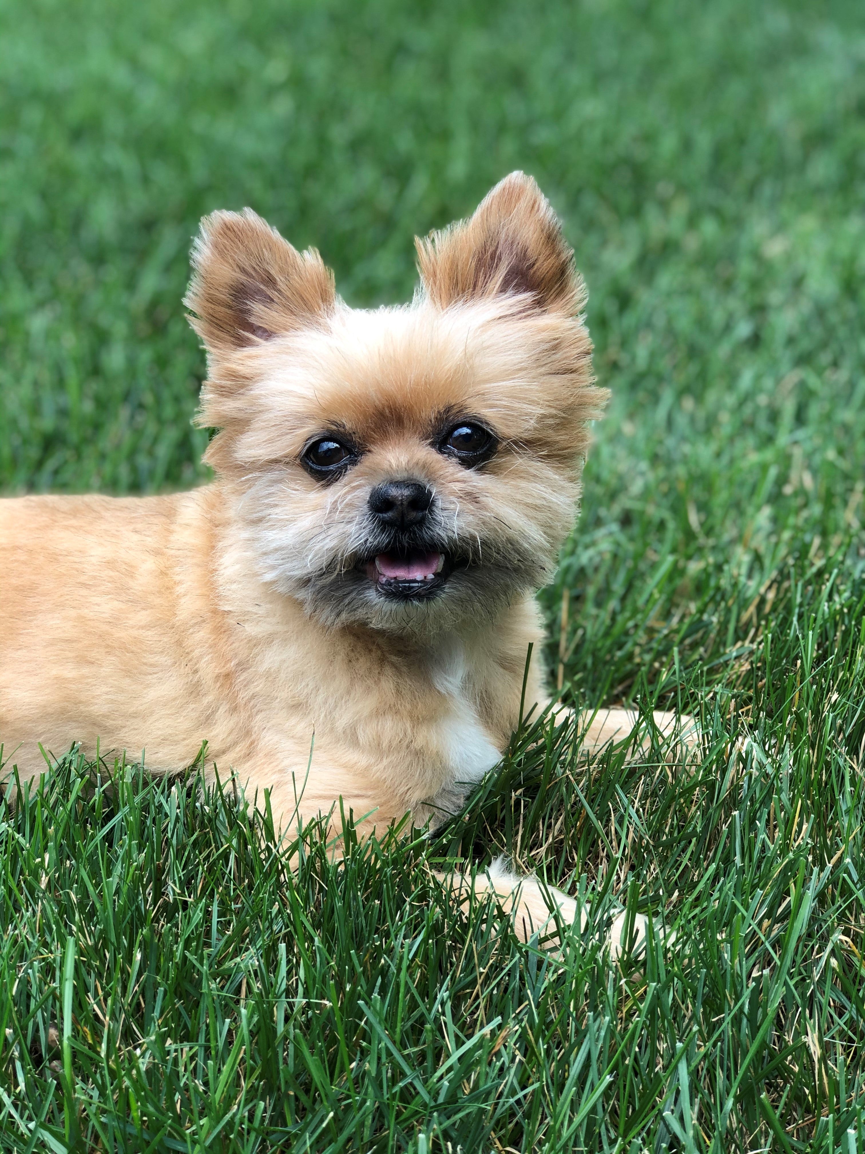 A Fuzzy Tribute to Winston